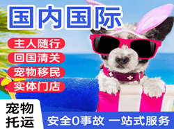 三沙航空运输国际宠物托运 【国